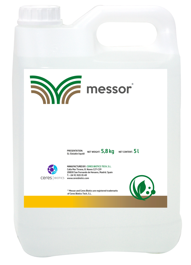 Messor_5L_Eng_web_2026